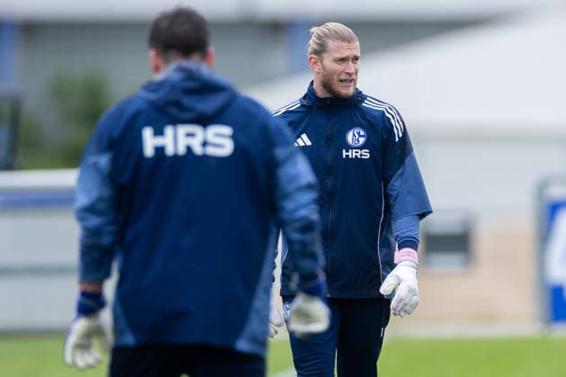 Fußball, 2. BL, FC Schalke 04, Training