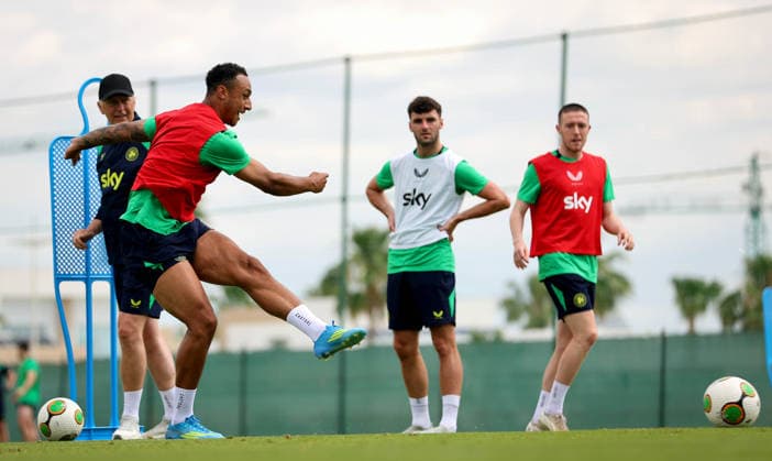 Fußball, Nationalteam Irland, Training