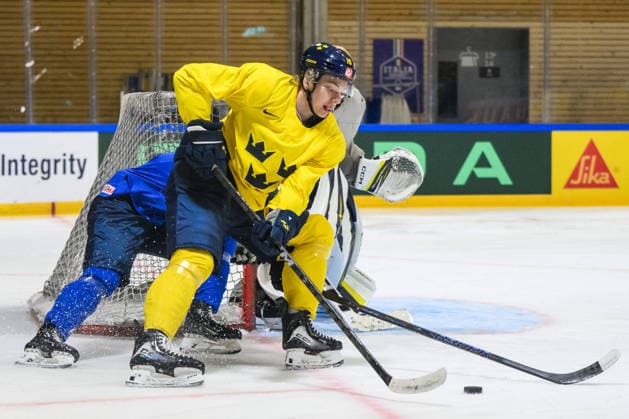 Eishockey, WM, Nationalteam Schweden, Training