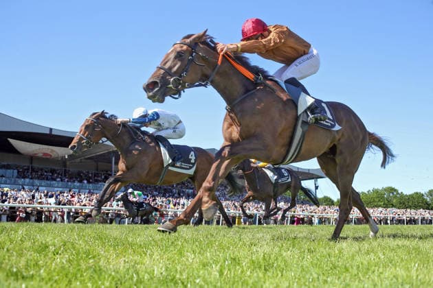 Pferdesport, Galopp, Renntag in Hannover
