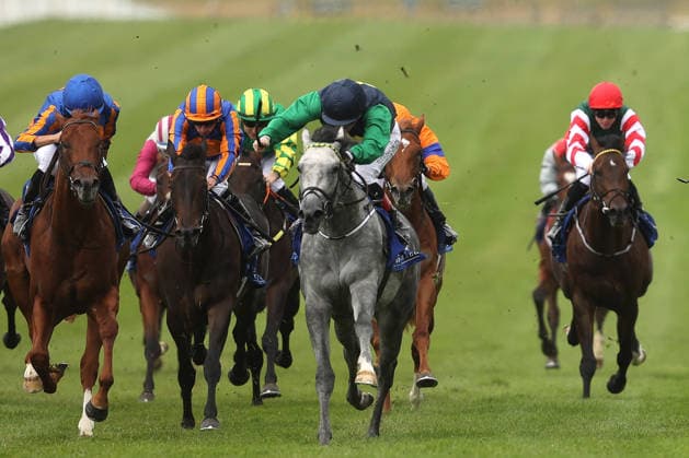 Pferdesport, Galopp, Renntag in Curragh