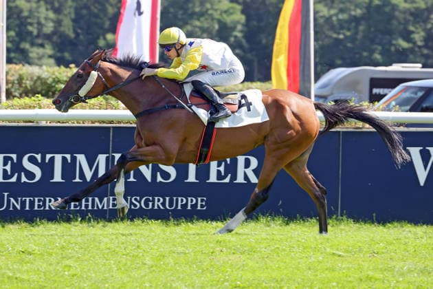 Pferdesport, Renntag auf der Galopprennbahn Hoppegarten