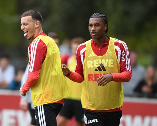 Fußball, 1. BL, 1. FC Köln, Training