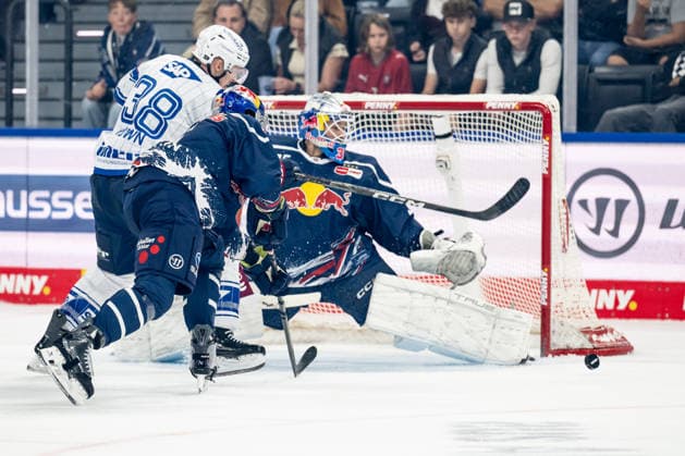 Eishockey, DEL, EHC Red Bull München - Adler Mannheim