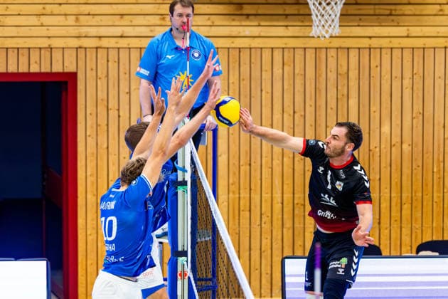 Volleyball, 2. BL, Blue Volleys Gotha - TV 1895 Moelmingen