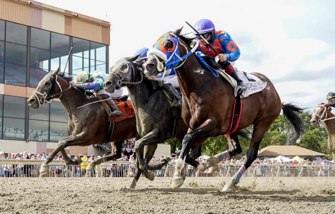 Pferdesport, Galopp, Renntag in Bensalem, Pennsylvania