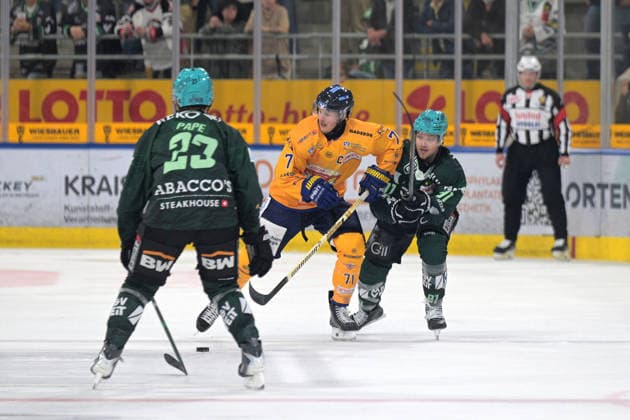 Eishockey, DEL2, Bietigheim Steelers - Lausitzer Füchse