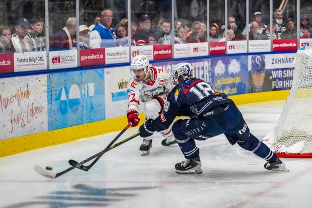 Eishockey, DEL2, Ravensburg Towerstars - Eisbären Regensburg
