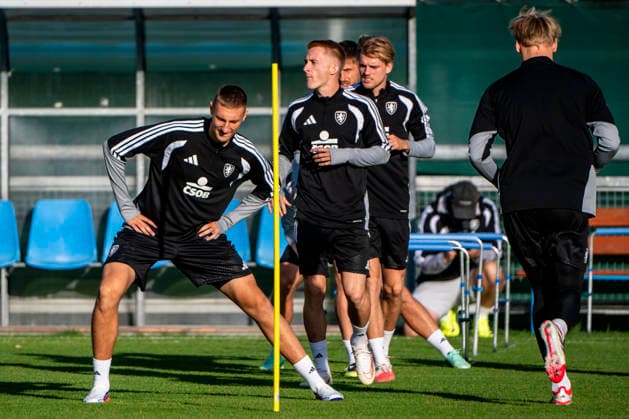 Fußball, Nationalteam Tschechien, Training