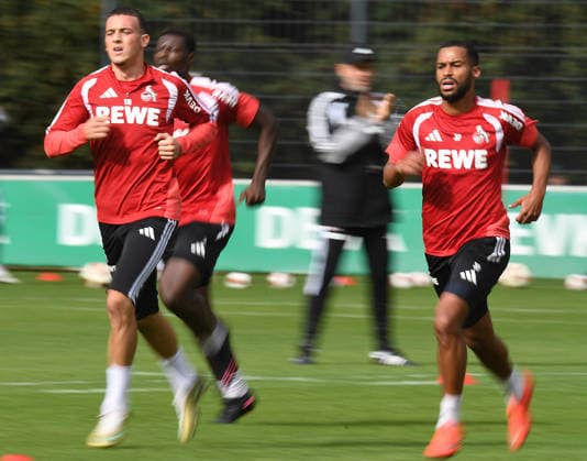 Fußball, 1. BL, 1. FC Köln, Training