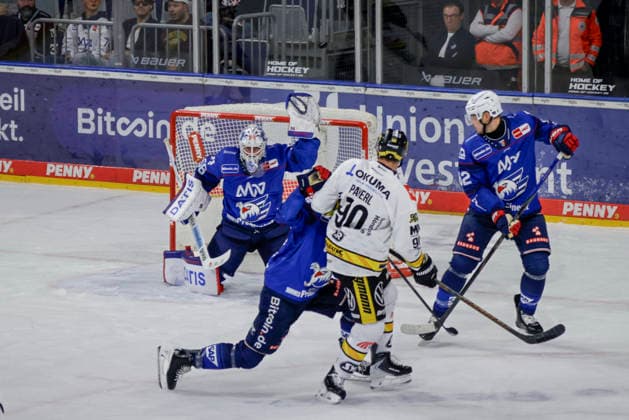 Eishockey, DEL, Adler Mannheim - Krefeld Pinguine