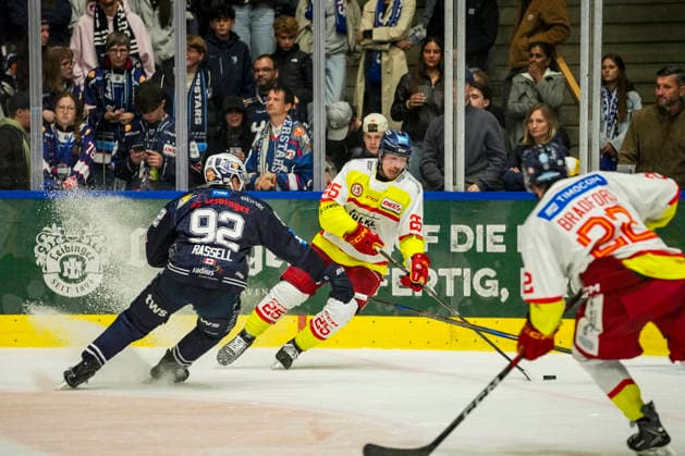 Eishockey, DEL2, Ravensburg Towerstars - Düsseldorfer EG