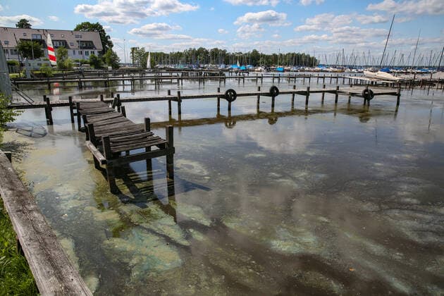 Niedersachsen, Badeverbot für das Steinhuder Meer wegen Blaualgen erlassen - Archivbilder