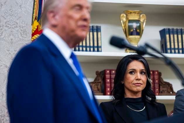 USA, Geheimdienstkoordinatorin Tulsi Gabbard tritt zurück, Archivbilder
