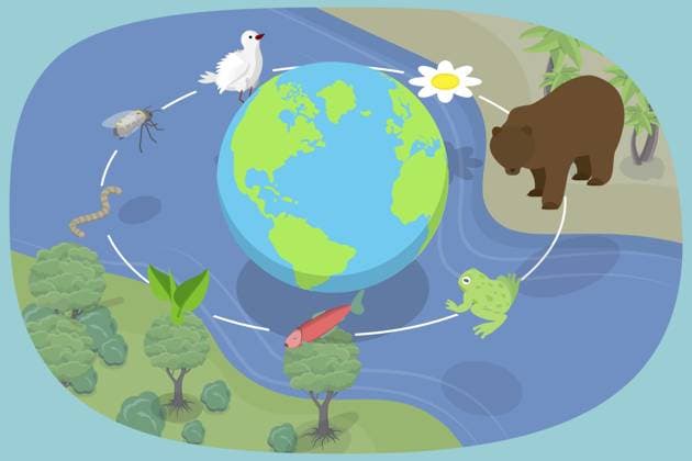 Internationaler Tag der biologischen Vielfalt am 22. Mai