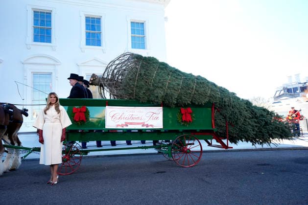 Melania Trump - Lieferung Weihnachtsbaum vor dem Weissen Haus