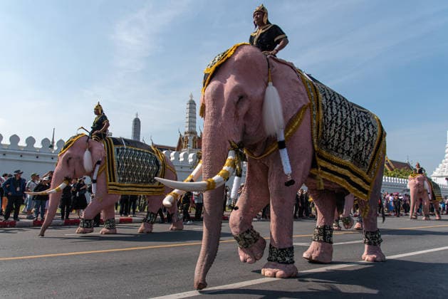 Thailand, Die Mahouts und Elefanten erweisen der Königinmutter Sirikit in Bangkok ihre Ehre