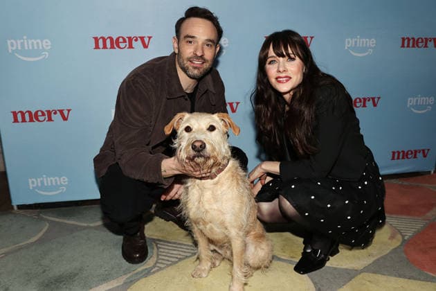 Merv Screening in New York
