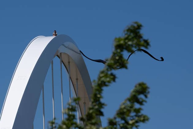 USA, Protestaktion gegen den Krieg gegen Iran auf der Frederick Douglass Memorial Bridge in Washington