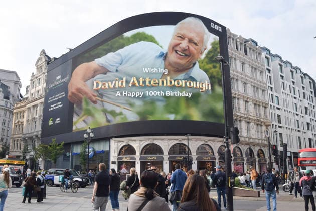 Großbritannien, BBC-Würdigung für David Attenborough zum 100. Geburtstag am Piccadilly Circus in London