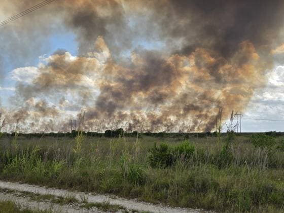 USA, Großer Brand auf den Everglades, Florida