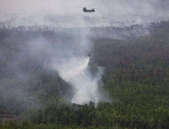 USA, Waldbrand in Pineland, Georgia