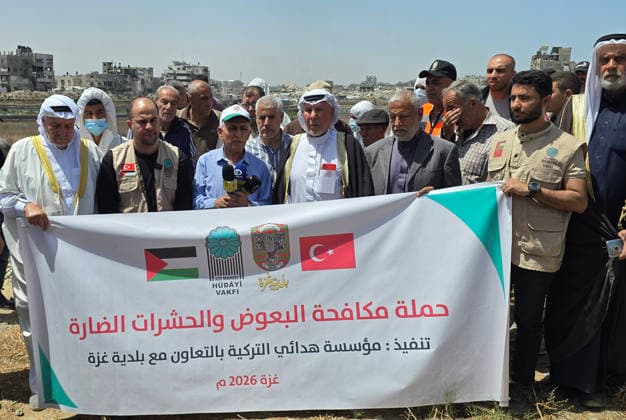 Palästina, Start der Kampagne zur Insektenbekämpfung im Norden von Gaza-Stadt