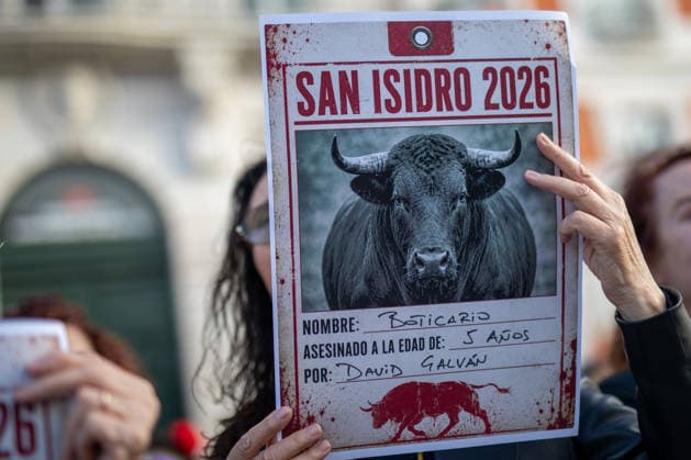 Spanien, Protest gegen Stierkämpfe in Madrid