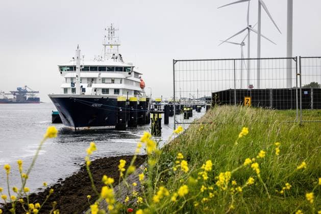 Hantavirus-Ausbruch, Kreuzfahrtschiff Hondius im Hafen von Rotterdam