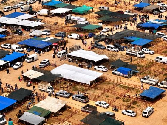 Türkei, Vorbereitungen auf das islamische Opferfest Eid al-Adha in Gaziantep