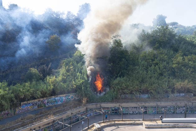 Italien, Waldbrand bei Rom