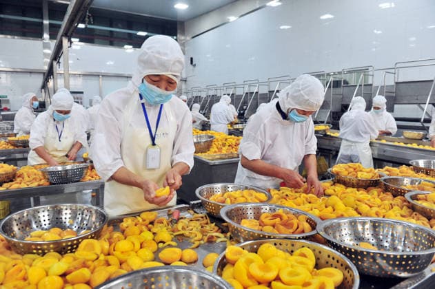 China, Pfirsich-Verarbeitung in Yichang