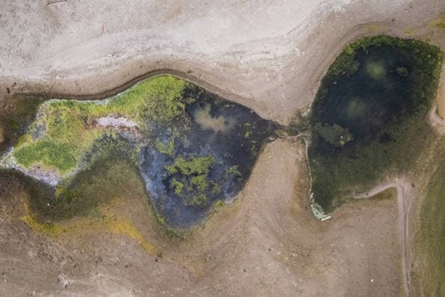 Kroatien, Niedrigwasser der Donau bei Ilok