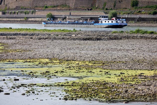 Rheinland-Pfalz, Rhein-Niedrigwasser in Bingen