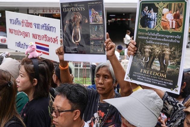 Thailand, Elefantenfreunde fordern die Rückgabe zweier Elefanten aus Sr Lanka