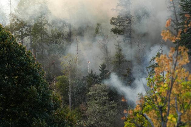 Baden-Württemberg, Waldbrand in Zell am Harmersbach