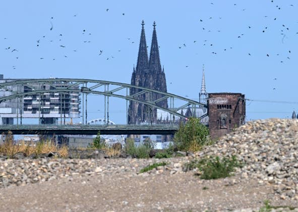 NRW, Rhein-Niedrigwasser in Köln