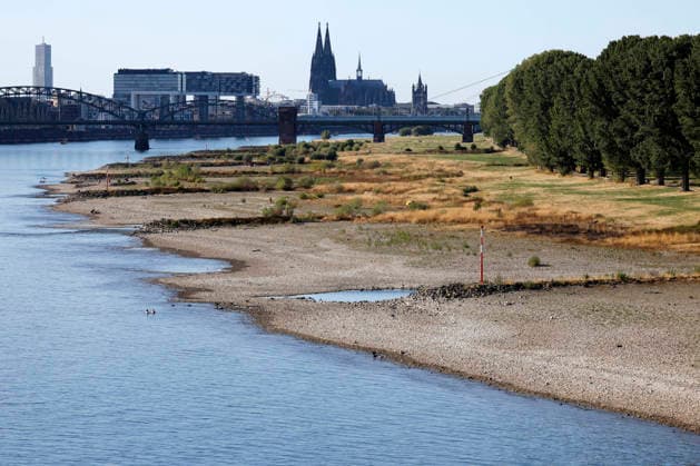 NRW, Rhein-Niedrigwasser in Köln