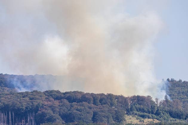 Nordrhein-Westfalen, Waldbrand am Möhnesee