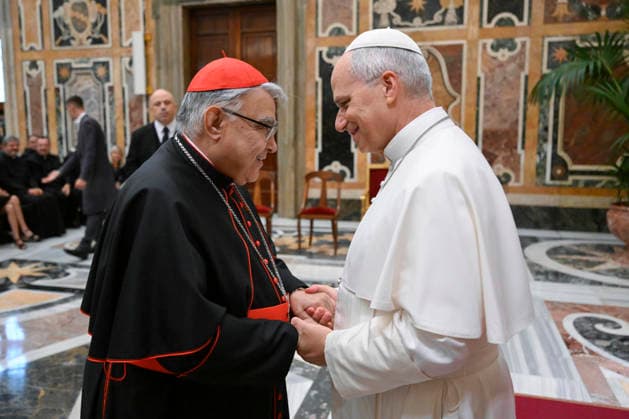 Vatikan, Papst Leo XIV. Privataudienz
