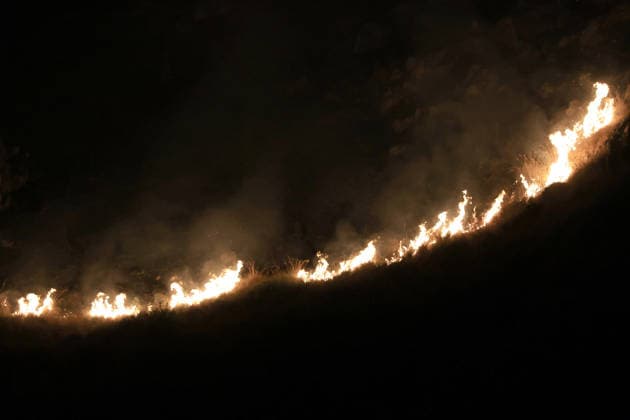 Italien, Waldbrand am Monte Biliemi und im Raum Camporeale