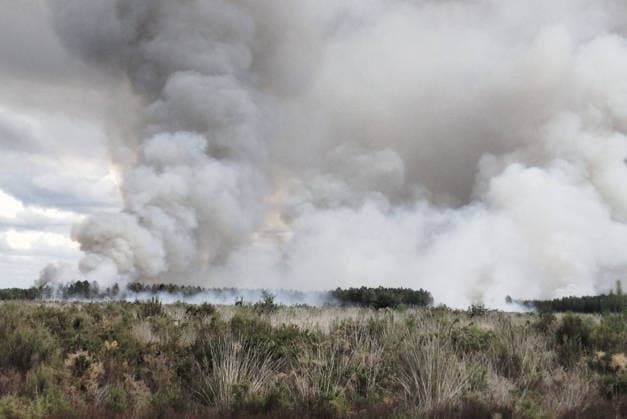 Frankreich, Waldbrand in Landes