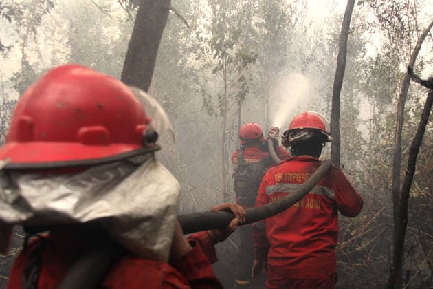 Indonesien, Waldbrände in Sumatera Selatan
