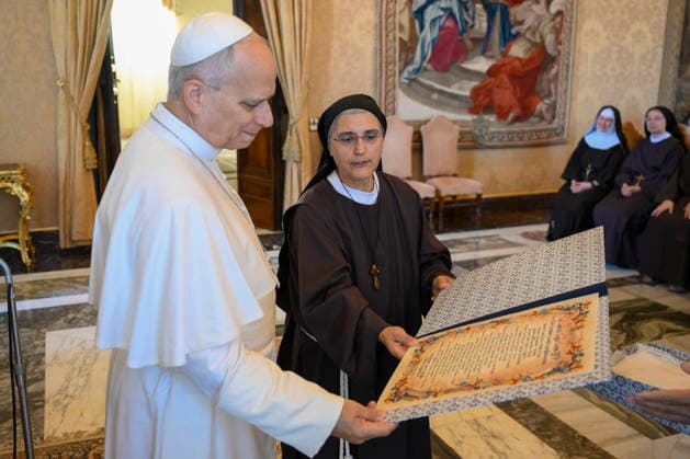 Vatikan, Papst Leo XIV. während Generalaudienz