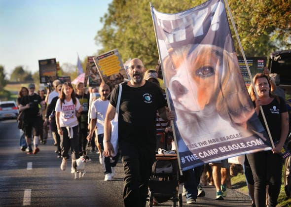 Großbritannien, Tierschützer protestieren gegen Tierversuche in Huntingdon