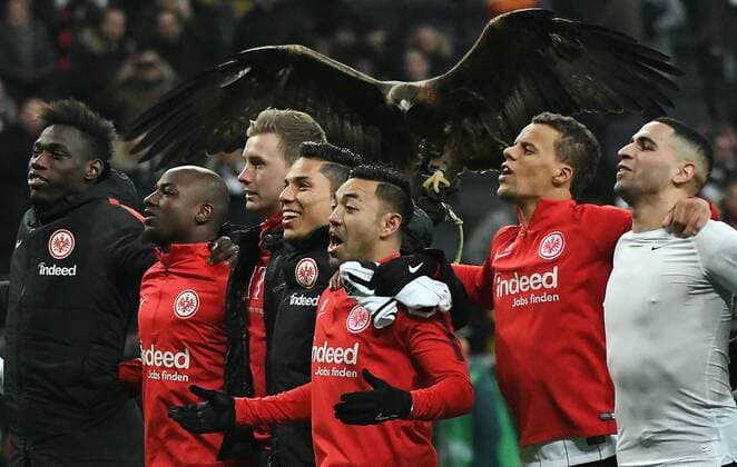 Themen der Woche - SPORT Bilder des Tages - SPORT 10.02.2018, xpsx, Fussball 1. Bundesliga, Eintracht Frankfurt - 1.FC Koeln, emspor v.l. Frankfurter jubel nach Sieg Atilar Frankfurt