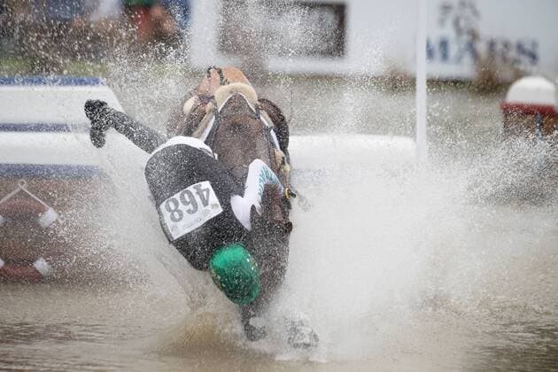 Sport Themen der Woche KW37 Sport Bilder des Tages 180915 Australias William Levett competes in eventing cross-country during the FEI World Equestrian Games on September 15, 2018 in Tryon. Photo: Joel Marklund BILDBYRAN kod JM 87779 Copyright: JOELxMARKLUND BB180915JM022