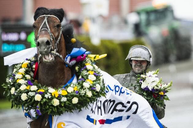 Sport Themen der Woche KW21 190526 Björn Karlsson med hästen Tangen Haap jublar efter lopp 5 under Elitloppet den 26 maj 2019 i Stockholm. Copyright: JONATHANxNÄCKSTRAND BB190526JN044