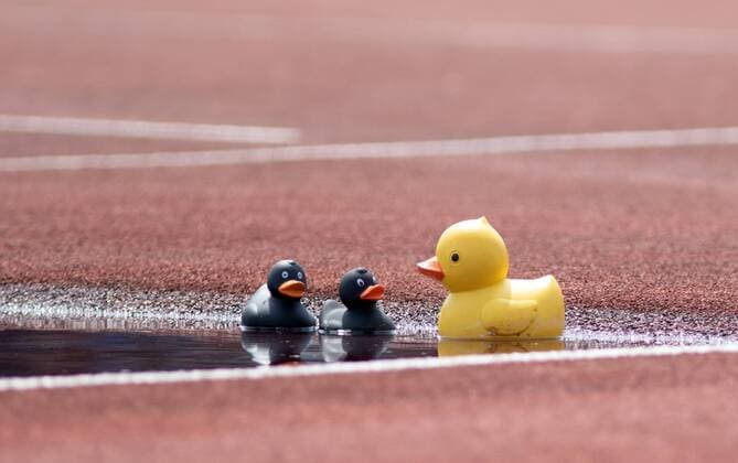 Sport Themen der Woche KW30 Sport Bilder des Tages Deutsche Jugend-Meisterschaften; Ulm, 26.07.2019 Impression: Entenfamilie im Wassergraben; Deutsche Jugend-Meisterschaften am 26.07.2019 im Donaustadion in Ulm (Baden-Wuerttemberg). Copyright: xBEAUTIFULxSPORTS R.xSchmittx