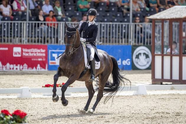 Bilder des Jahres 2019, Sport 08 August Sport Themen der Woche KW31 Sport Bilder des Tages Münster - Turnier der Sieger 2019, BACHMANN Carina (GER), Tarantino5 Münster - Turnier der Sieger 2019 PRIZE OF KAPPEL HIBERNIA GmbH & Co.KG Grand Prix de Dressage Wertung zu MEGGLE Champion of Honour 01. August 2019 Â© -